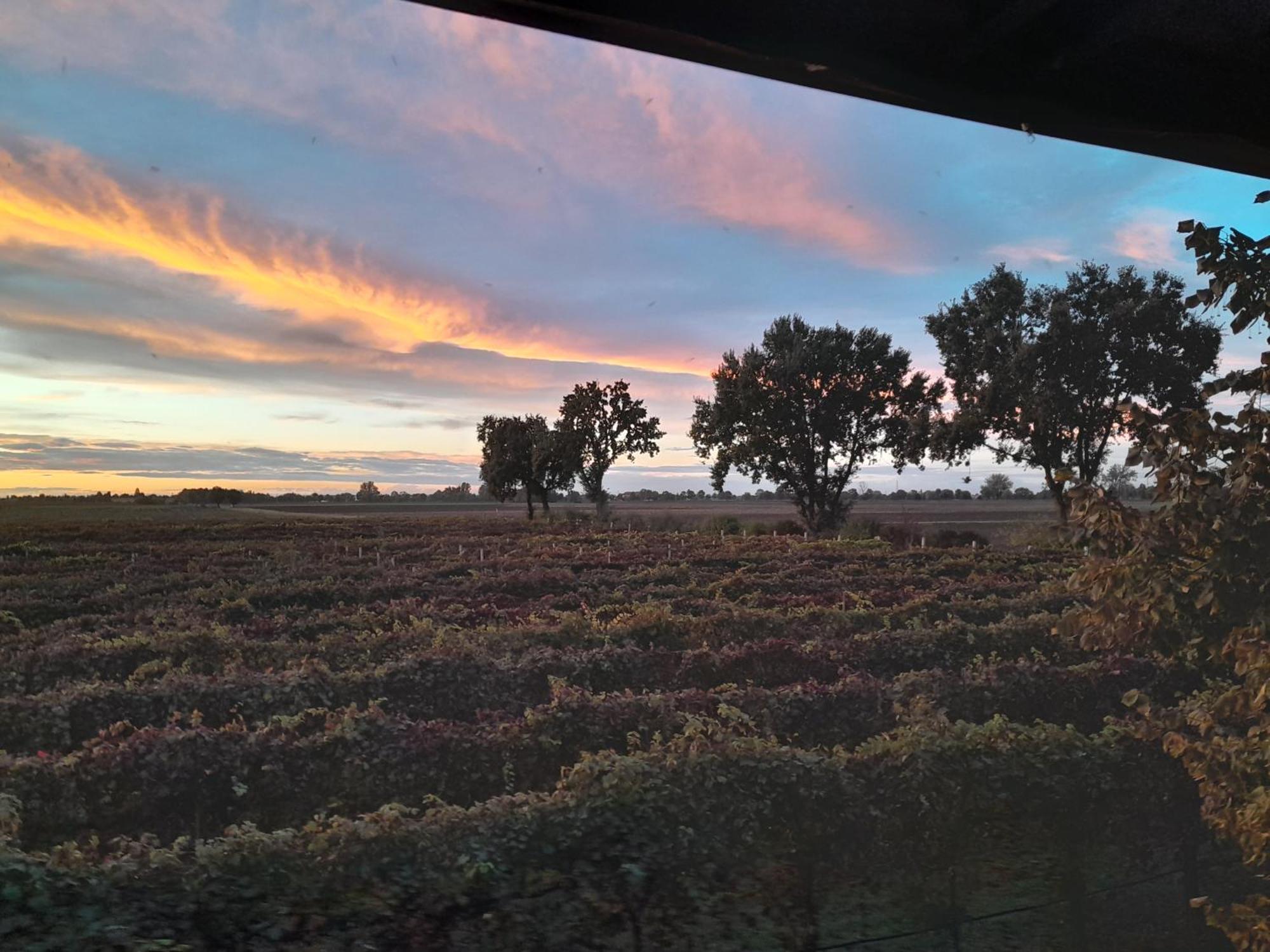 Agriturismo Casa Carpanelli Nonantola Экстерьер фото