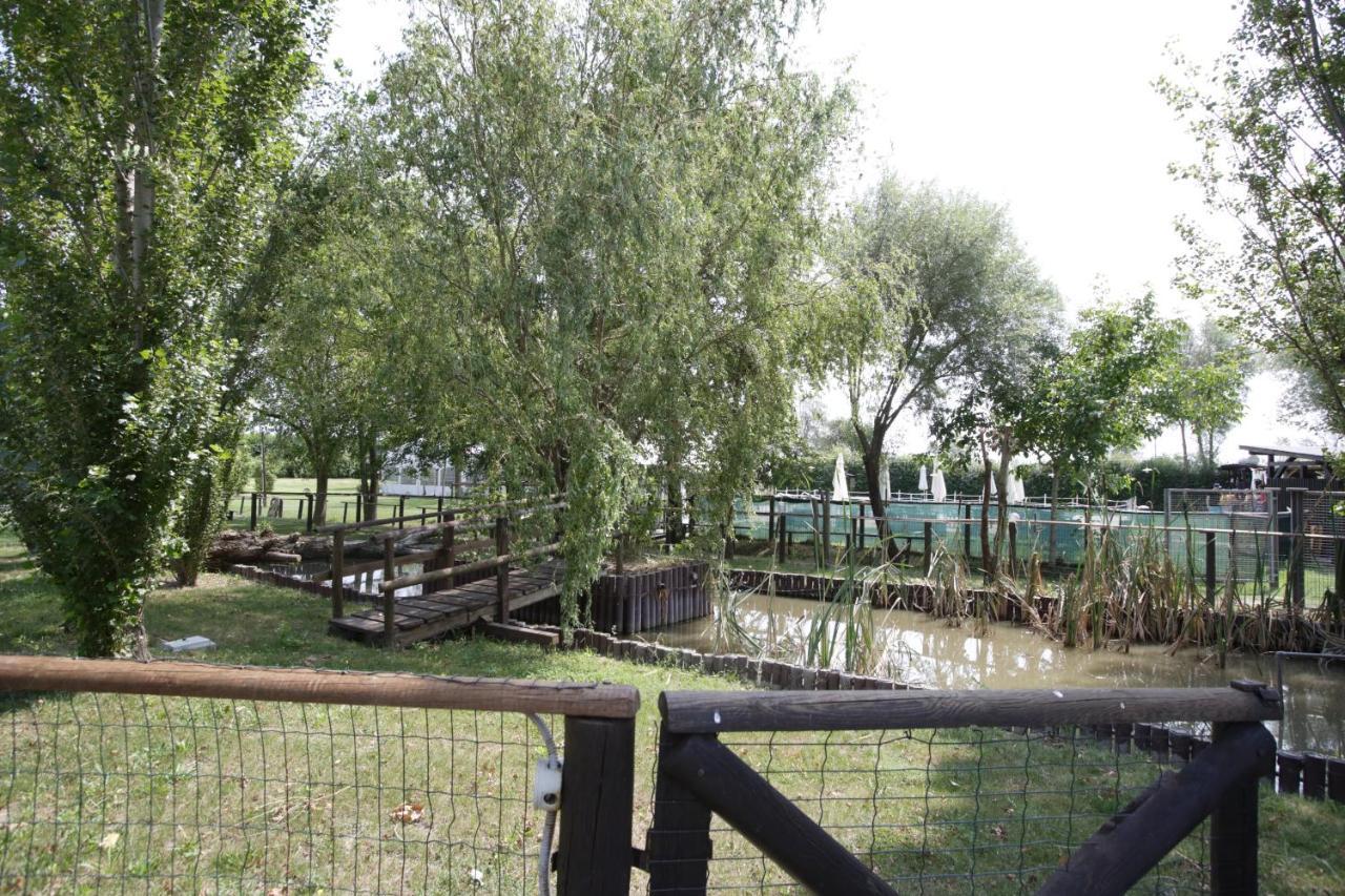Agriturismo Casa Carpanelli Nonantola Экстерьер фото